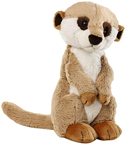 NICI Toy Reviews: Top 2026 Picks & Honest Guide