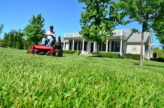Weather-Based Lawn Maintenance Automation: A Smarter Approach to Greener Grass