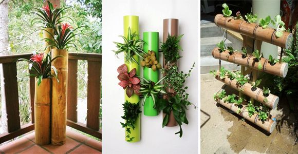 How to turn bamboo into original planters for the interior of your home! - grandgoldman.com