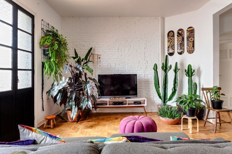 Garden Inside Your Home: Know How to Care for Your Plants! - grandgoldman.com