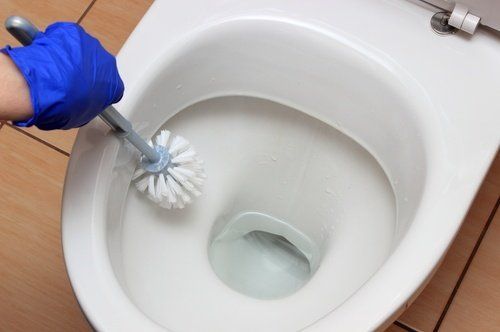 How to Clean a Bathroom with Homemade Recipes! - grandgoldman.com