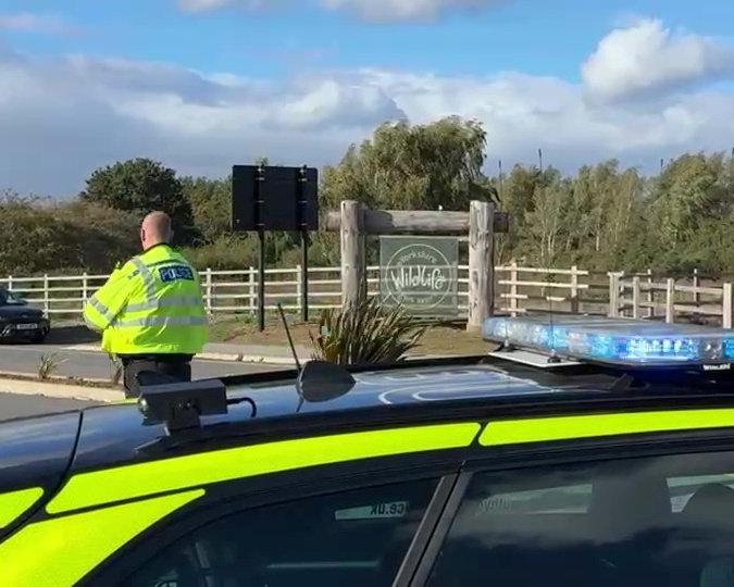 Man Dies After Jumping Into Tiger Enclosure at Yorkshire Zoo – Grand ...