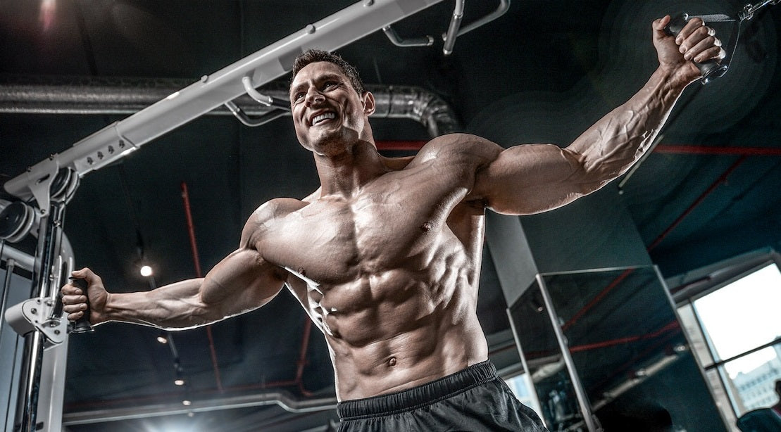 7 Best Cable Machines for Home Gym (Functional Trainers) Grand Goldman