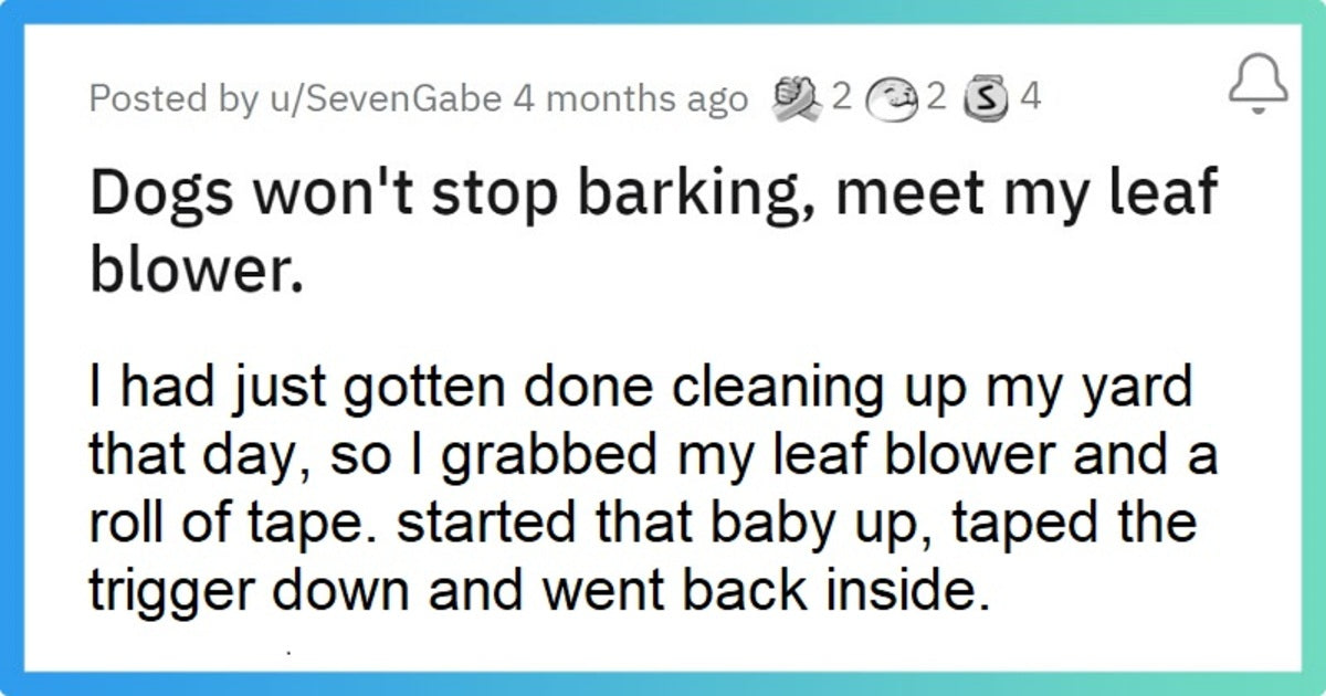 Man Uses Leaf Blower To Take Revenge On His Neighbors And Stop Their Dogs From Barking - grandgoldman.com