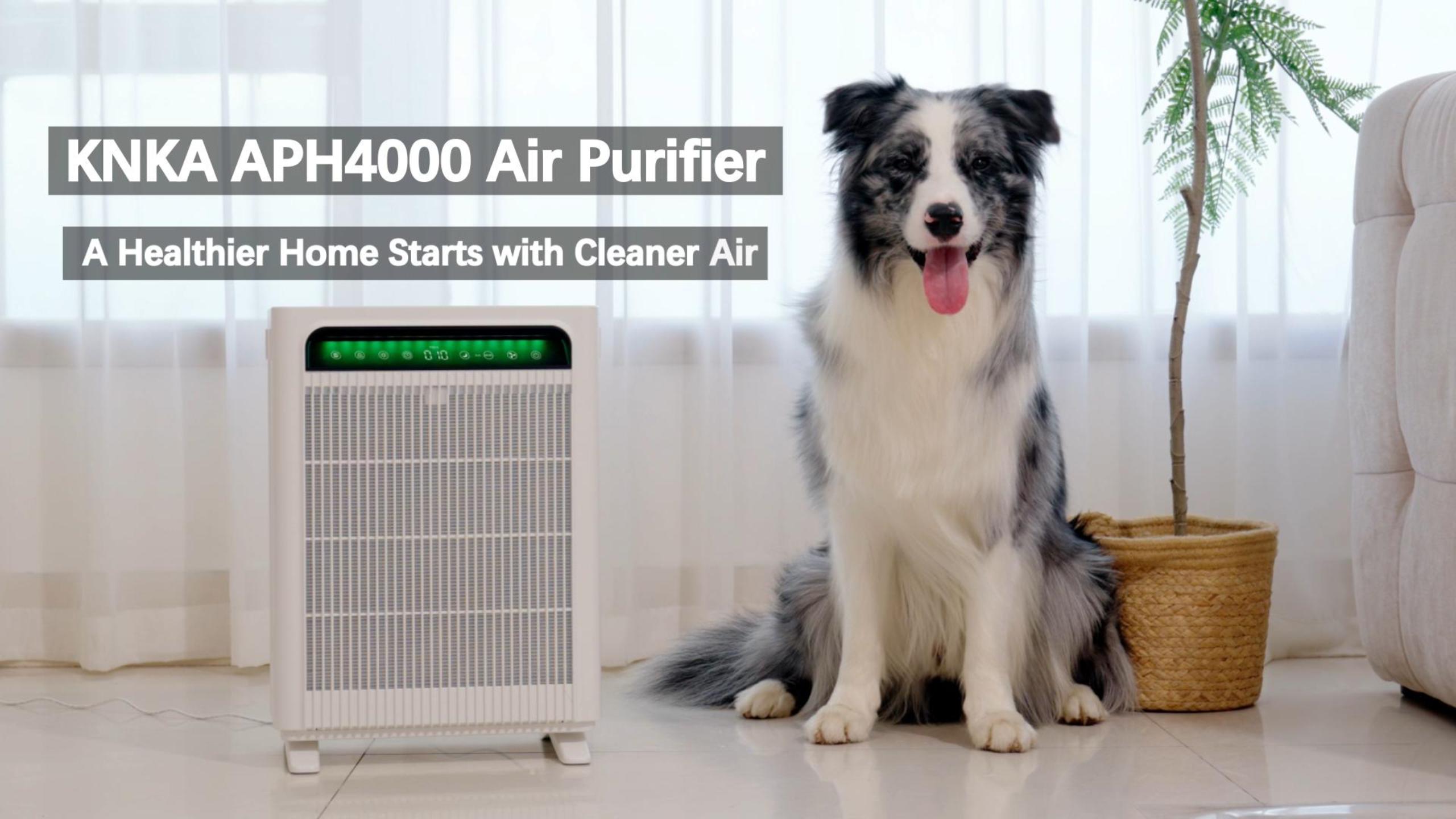 KNKA APH4000 Air Purifier for Allergies Review - grandgoldman.com