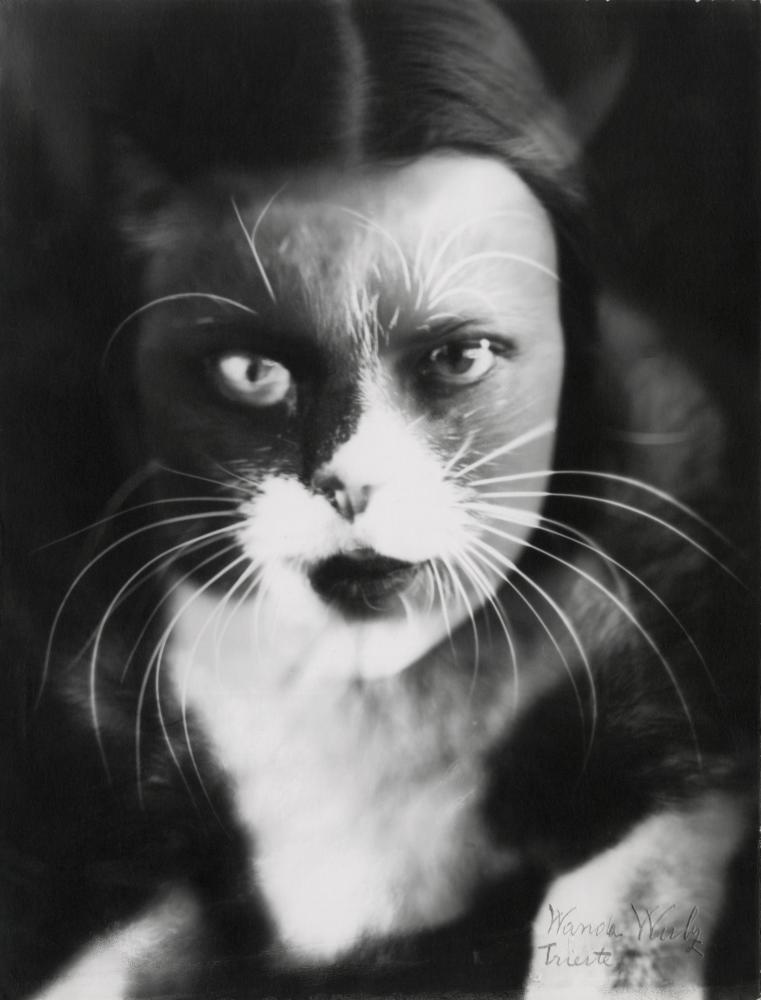 Wulz Sisters: Feminist Photography Against Fascism