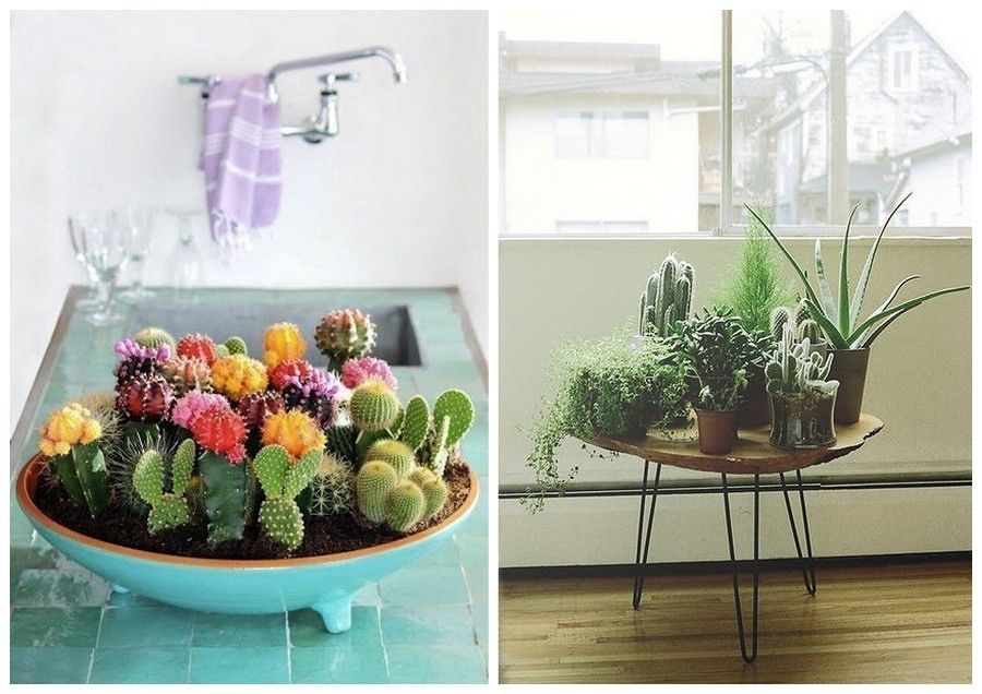 Irresistible Ideas to Decorate your House with Cactus! - grandgoldman.com