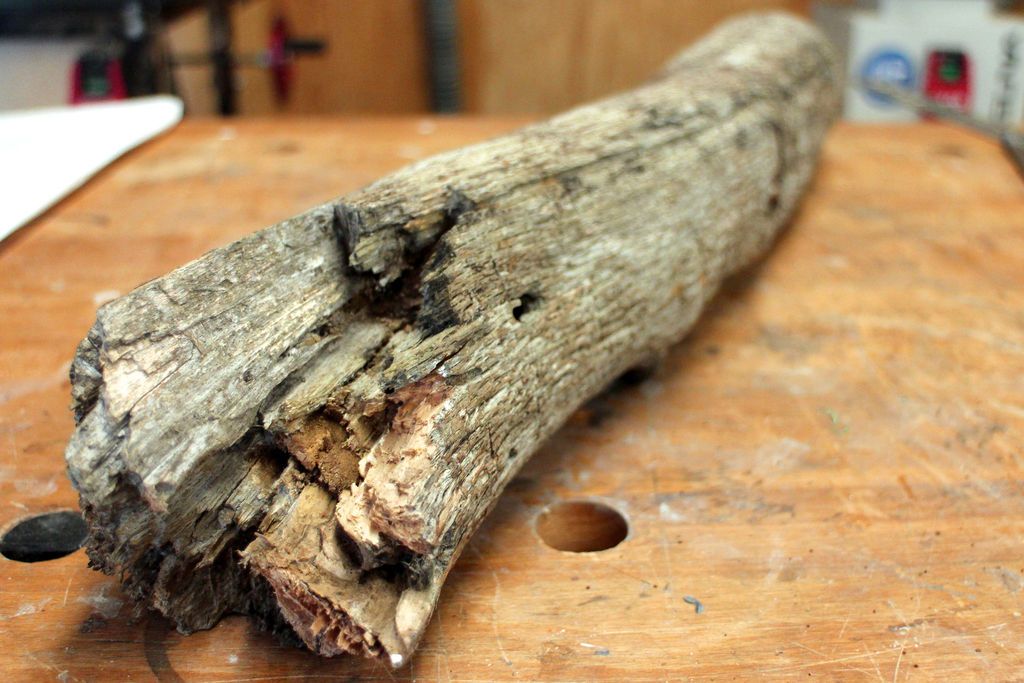 Rustic Looking Stackable Coasters Made from a Fallen Tree! - grandgoldman.com