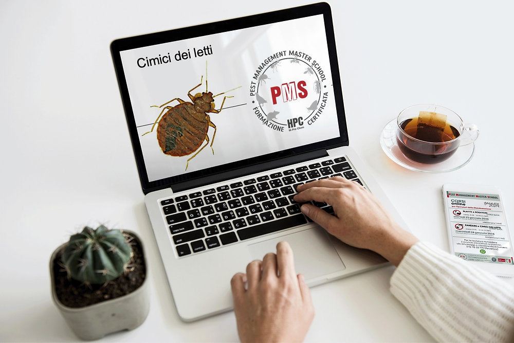 Online Pest Control Courses March 2024 – Learn from Home