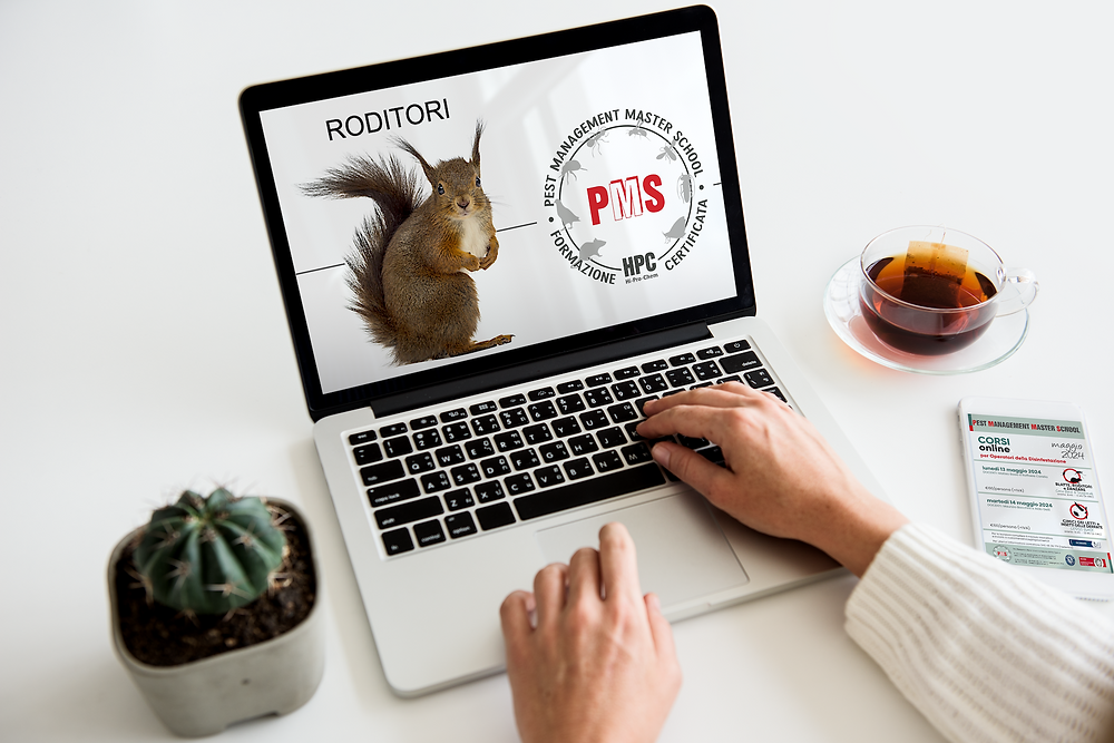 Online Pest Control Courses: October & November 2025 Schedule