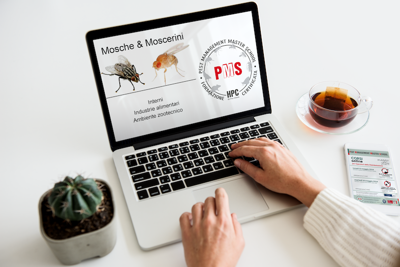 Online Pest Control Courses: Feb, Mar & Apr 2025 – Enroll Now