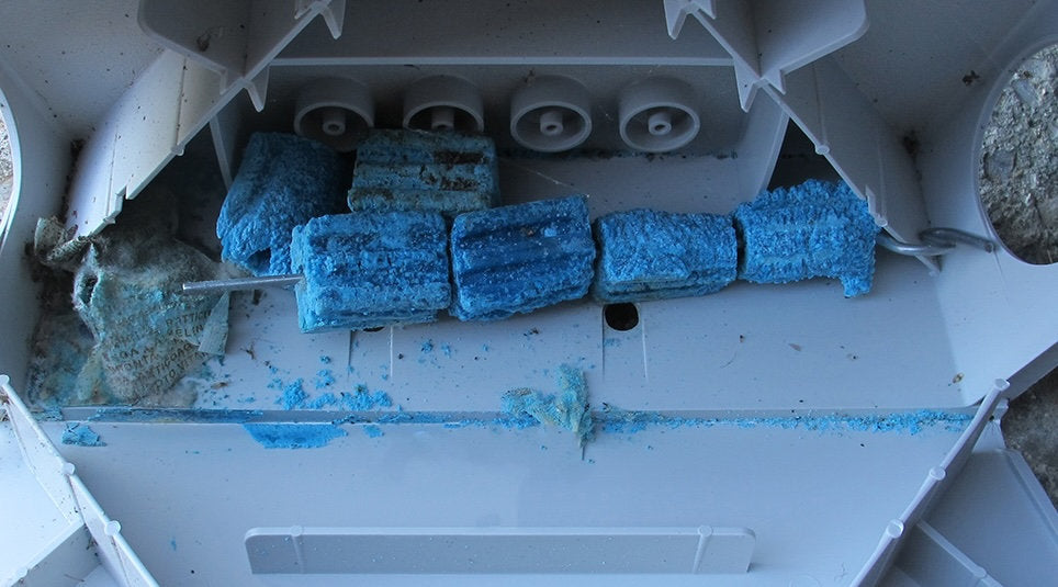Italian Ban on Poison Baits: What Pest Pros Must Know
