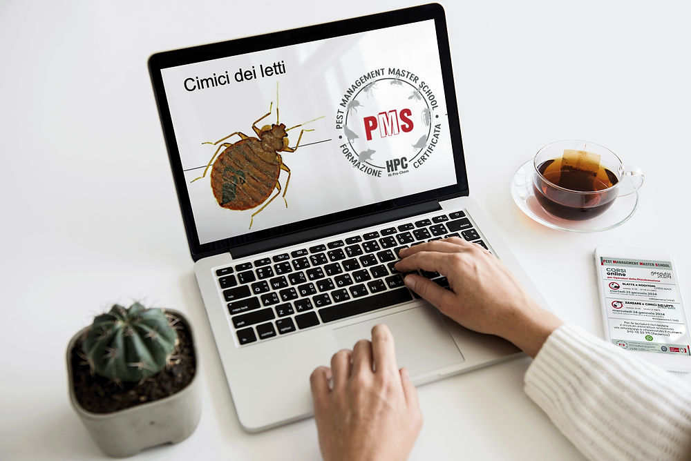 Pest Control Training Courses January 2024 – Enroll Now