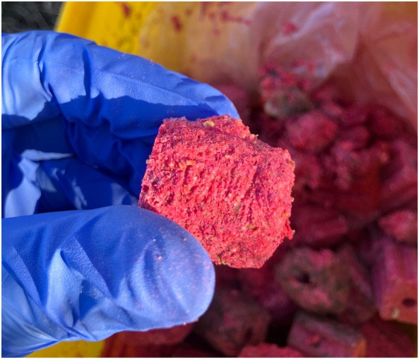 Rodenticide Field Tests: Surprising Results for Durability & Bait Appeal