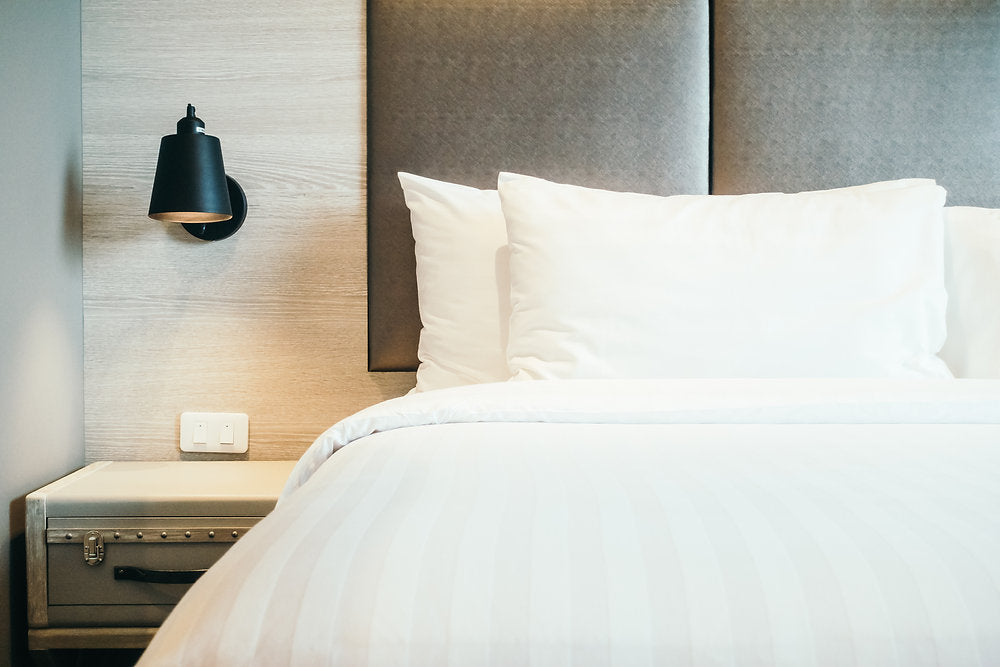 Bed Bug Infestation Control: What Comes Before Treatment?