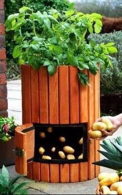10 Creative Ideas to Reuse Pallets in your Garden - grandgoldman.com