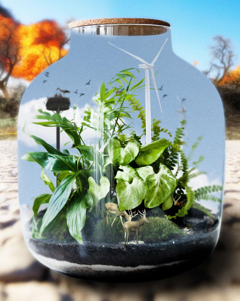 Climate Solutions: Global Transformation Ideas for Positive Change