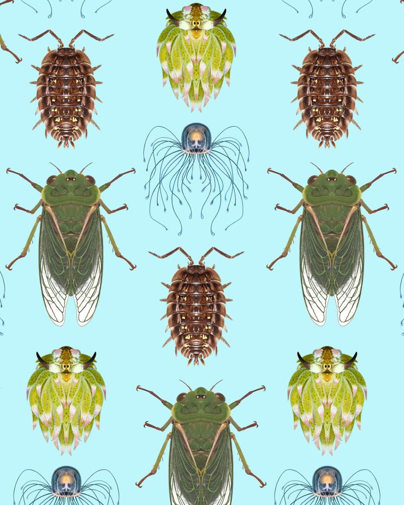 Top 10 Invertebrates of the Year Revealed: Fascinating Species