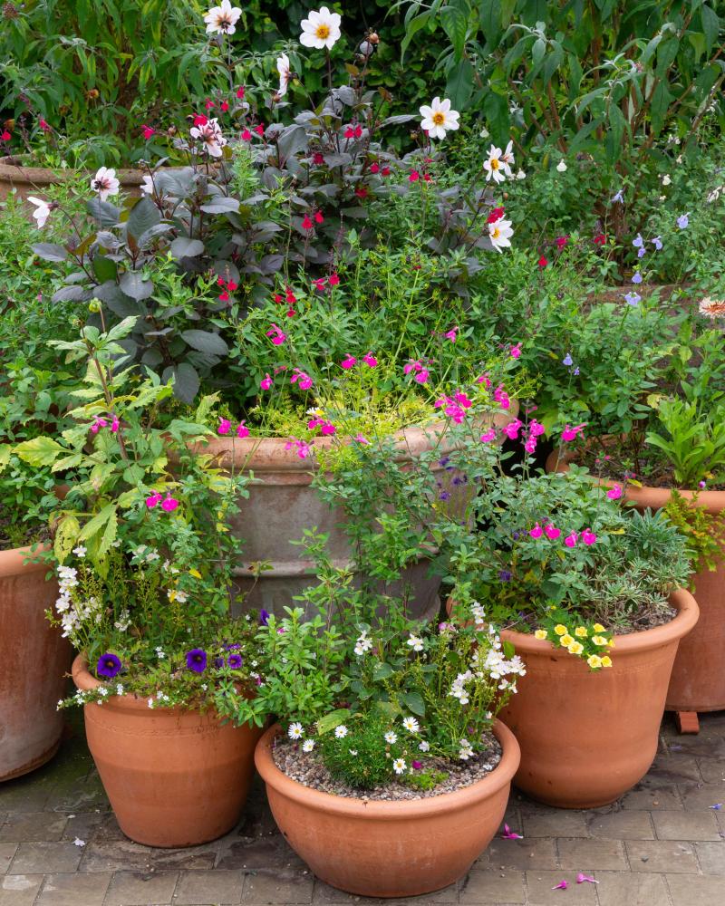 Container Gardens: Autumn Makeover for Pots of Fun