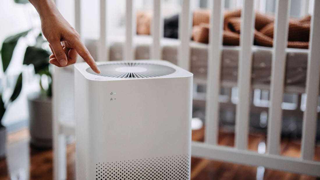 The 6 Best Air Purifiers for Pets of 2024, Tested by Real Simple