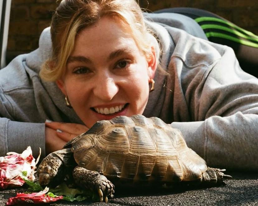 The pet I'll never forget: Darwin, the high-maintenance tortoise