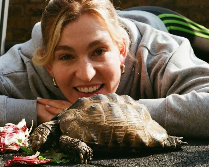 The pet I'll never forget: Darwin, the high-maintenance tortoise