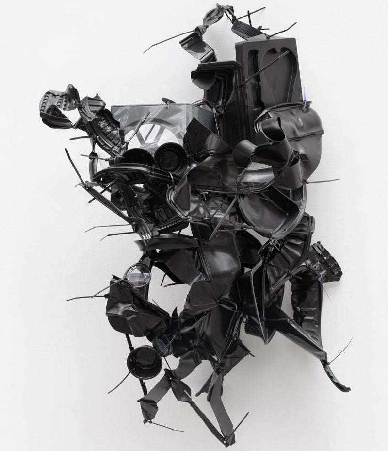 Liz Larner Sculpture: Breathing Life into Plastic and Hair