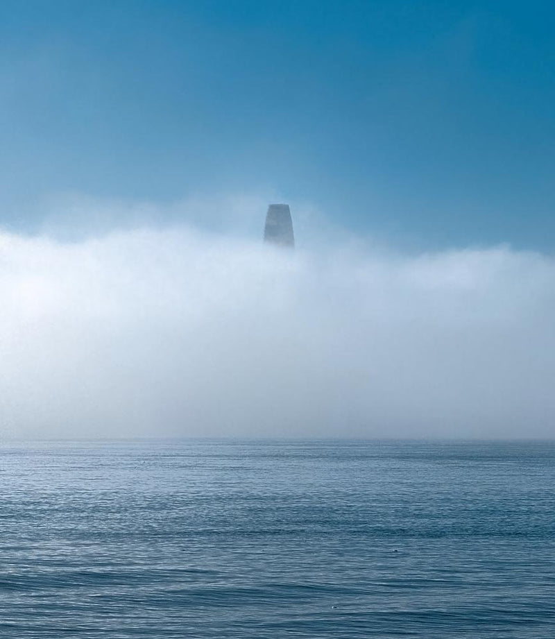 Derek Zhao's Best Phone Picture: Fog Creates Salesforce Tower Monolith