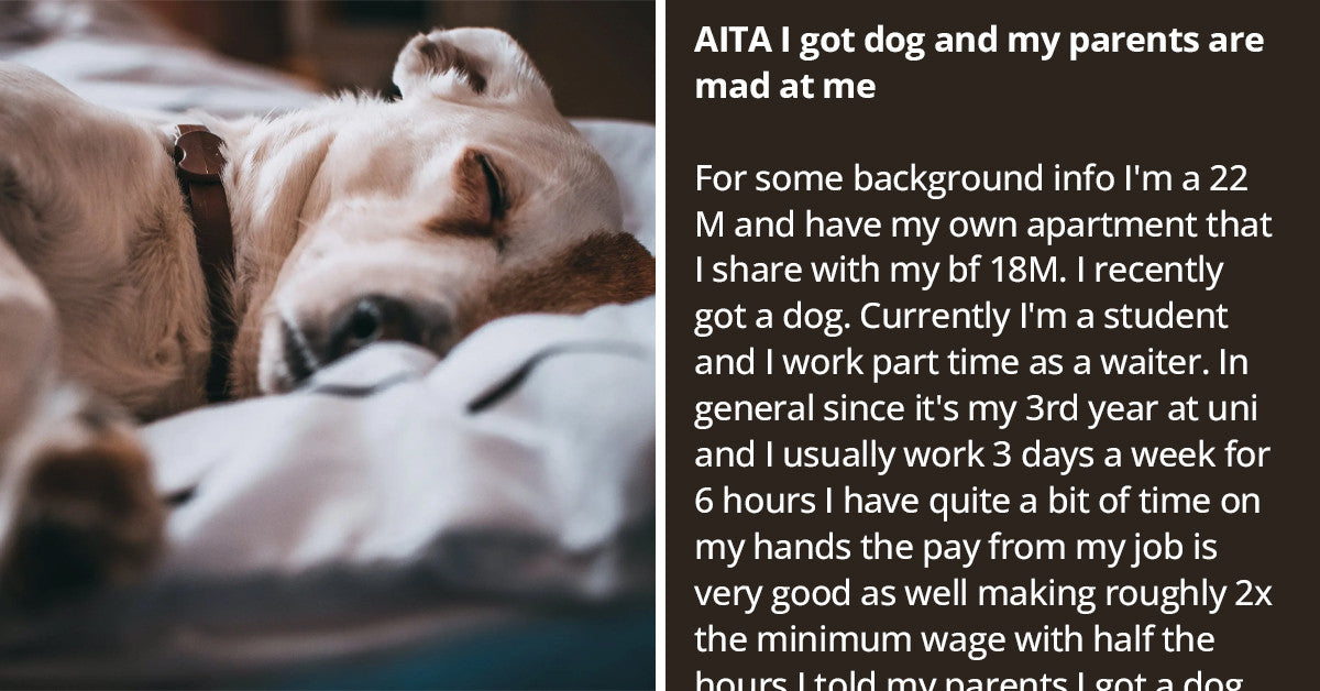Guy Who Is Entirely Independent Of His Parents Can’t Understand Why They Are Mad At Him For Getting A Dog - grandgoldman.com