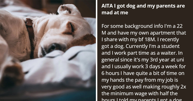 Guy Who Is Entirely Independent Of His Parents Can’t Understand Why They Are Mad At Him For Getting A Dog - grandgoldman.com