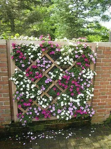 10 Ideas to Decorate the Fence and Completely Transform your Garden - grandgoldman.com