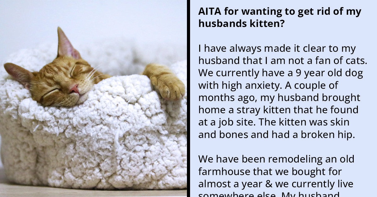 Woman Wants To Get Rid Of Sick Kitten But Her Husband Refuses, Drama Ensues