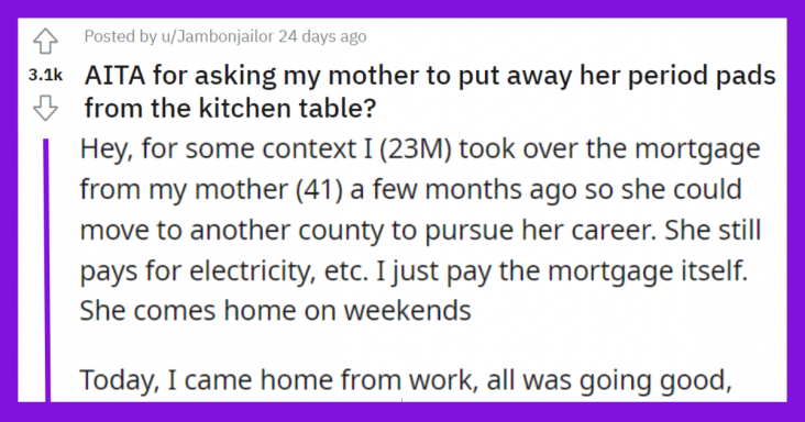 Son Asks His Mom To Not Keep The Period Pads On The Kitchen Table, Mom Accuses Him Of Shaming