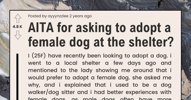Pet Shelter Didn’t Let Woman Adopt A Dog Because She Wanted A Female, She Causes A Scene