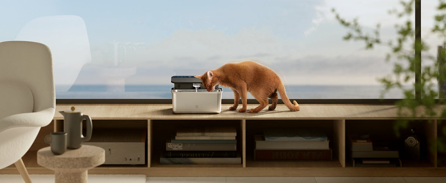 Automated Pet Care Devices: All You Need To Know (Guide)