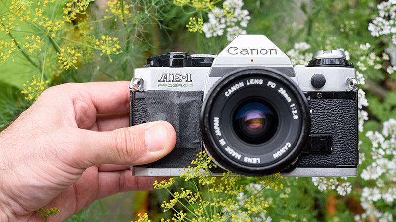 Best Beginner 35mm Camera