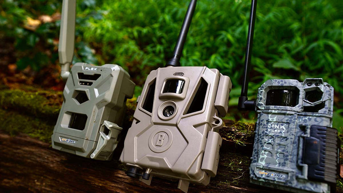 Best Budget Trail Camera