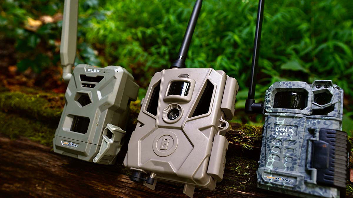 Best Budget Trail Camera