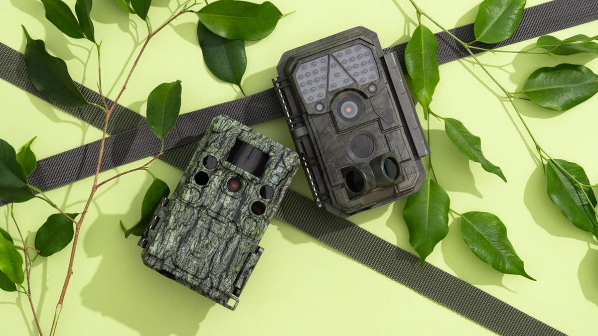 Best Low Priced Game Camera