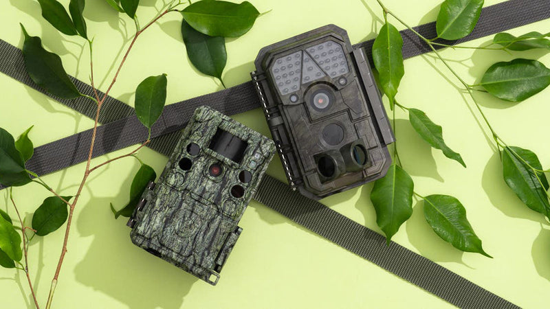 Best Low Priced Game Camera