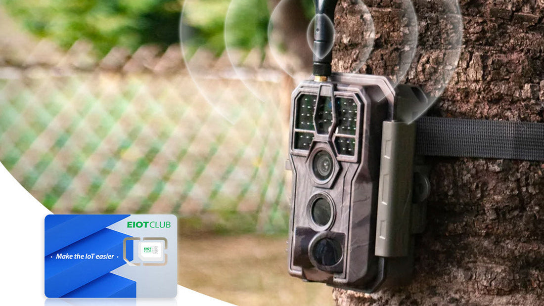 Best Sim Card for Trail Camera