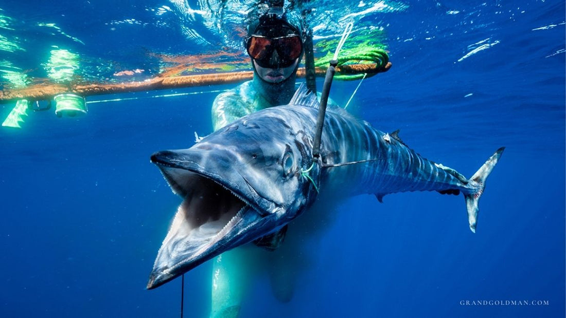 Best Spearfishing Tours in Cancun - Grand Goldman