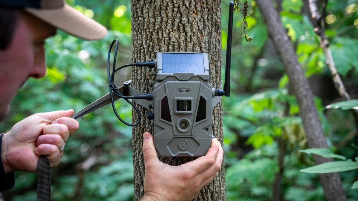 Best Trail Camera Cellular