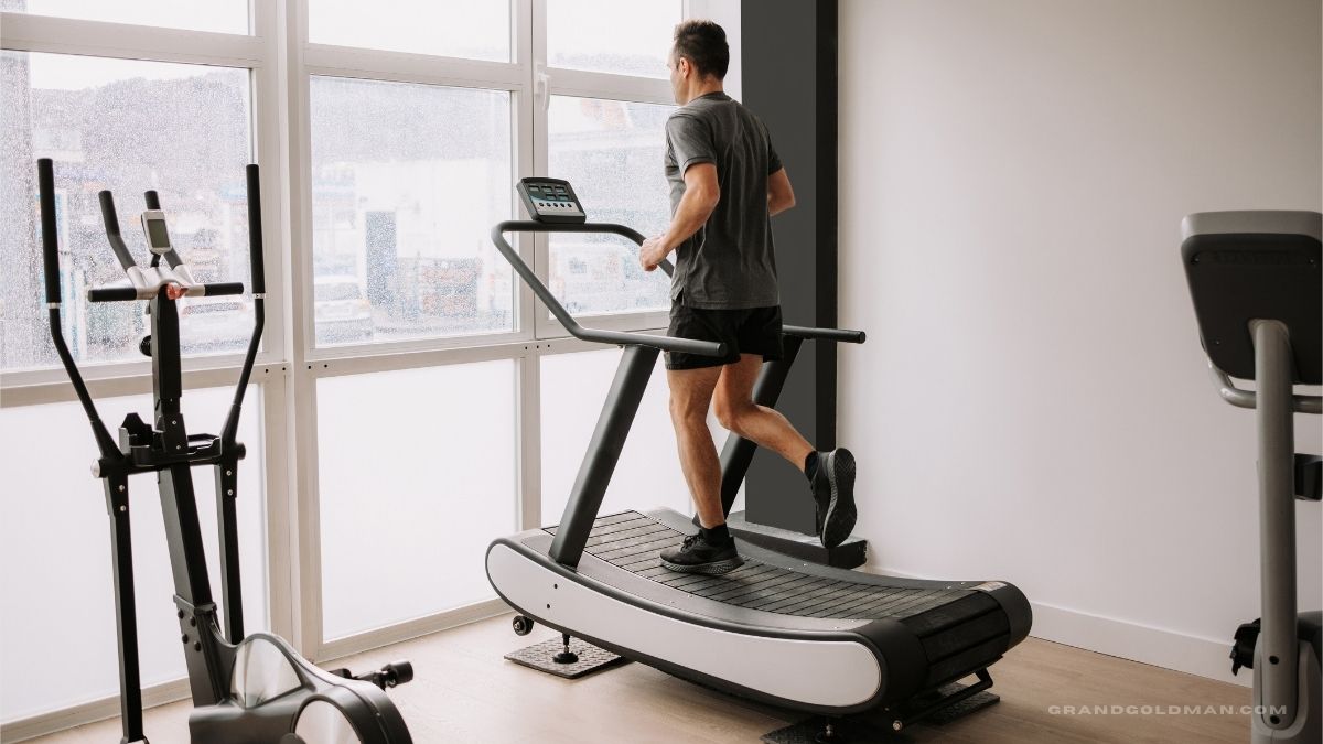 10 Best Treadmills for Home Gym (Reviews)