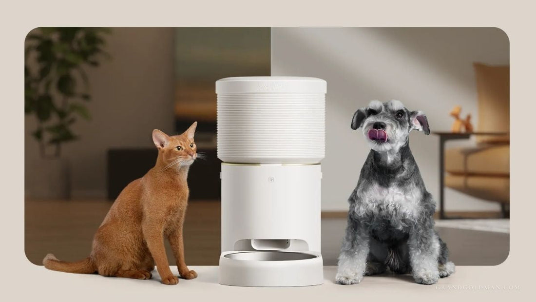  Best Automatic Pet Feeders for Cats & Dogs (Reviews) - Grand Goldman