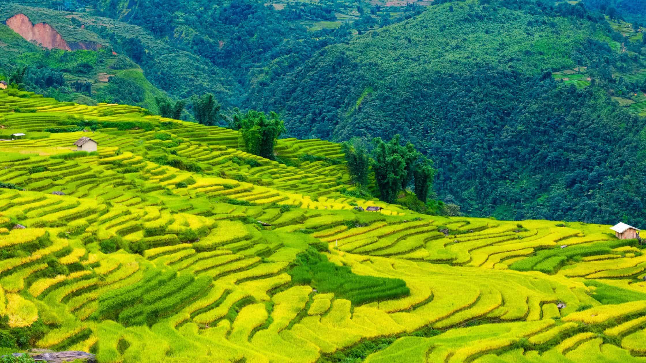 This country in Europe is the best wellness destination in the world