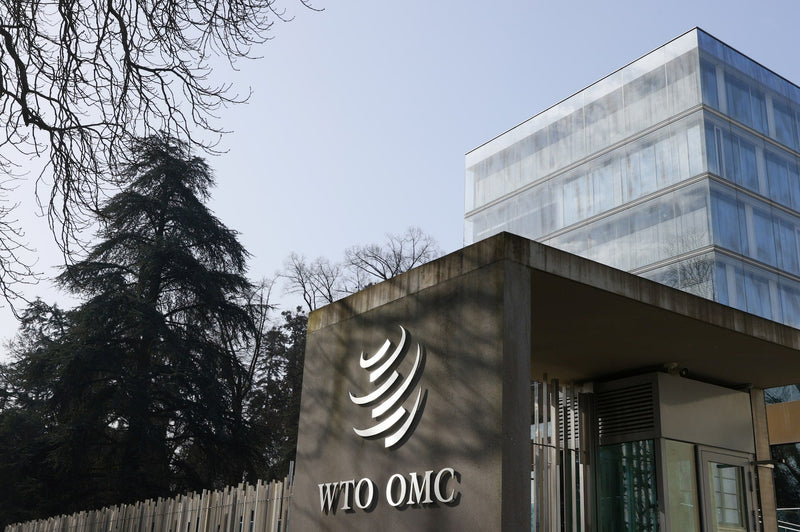 WTO E-Commerce Moratorium Explained: Why It Matters Now - grandgoldman.com