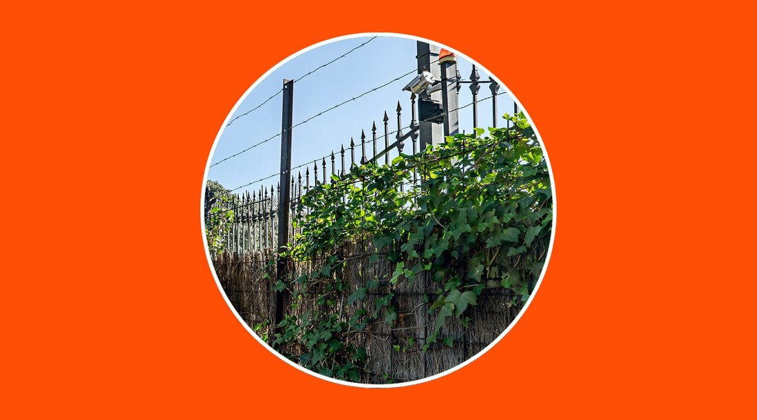 Can I put a surveillance camera on my property? - grandgoldman.com