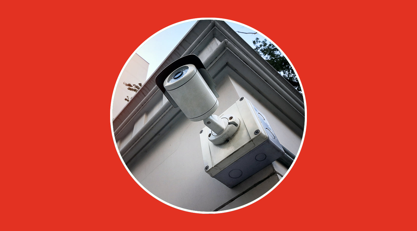 Fixed angle vs wide angle cameras: which one to choose - grandgoldman.com