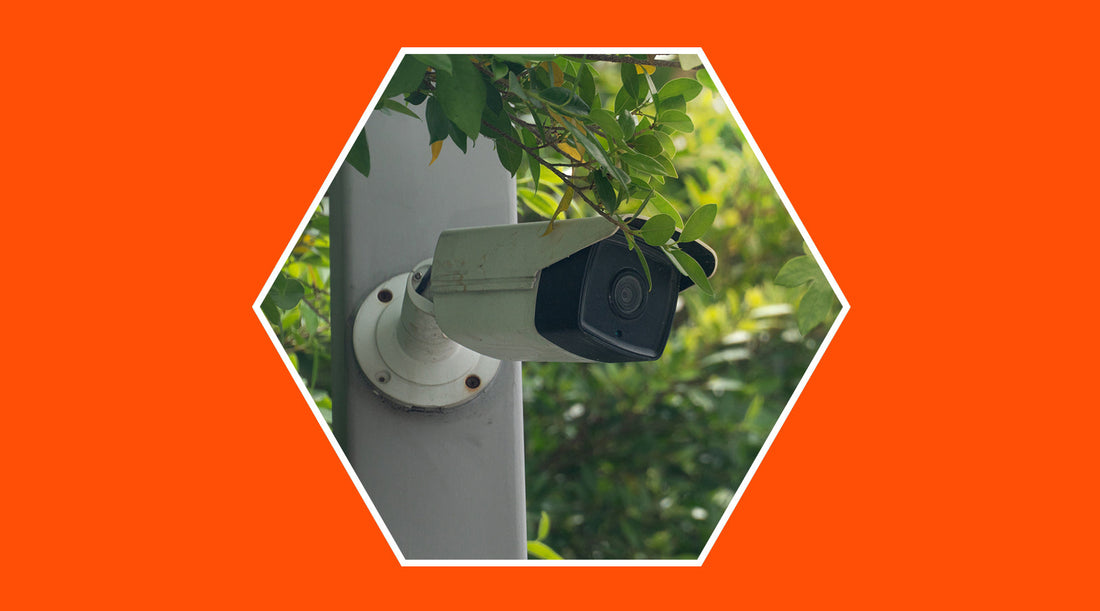 Most effective security cameras: hidden or visible? - grandgoldman.com